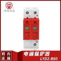 LYD2-B60电涌保护器(SPD)
