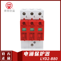 LYD2-B80电涌保护器(SPD)