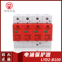 LYD2-B100电涌保护器(SPD)